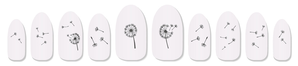 See dandelion - 121