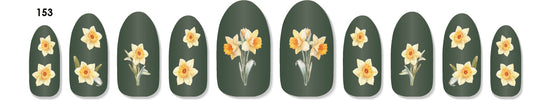 Daffodils - 153
